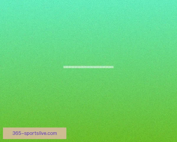 梦幻西游英雄大会巅峰对决全明星战队强势登场精彩瞬间回顾与精彩看点解析